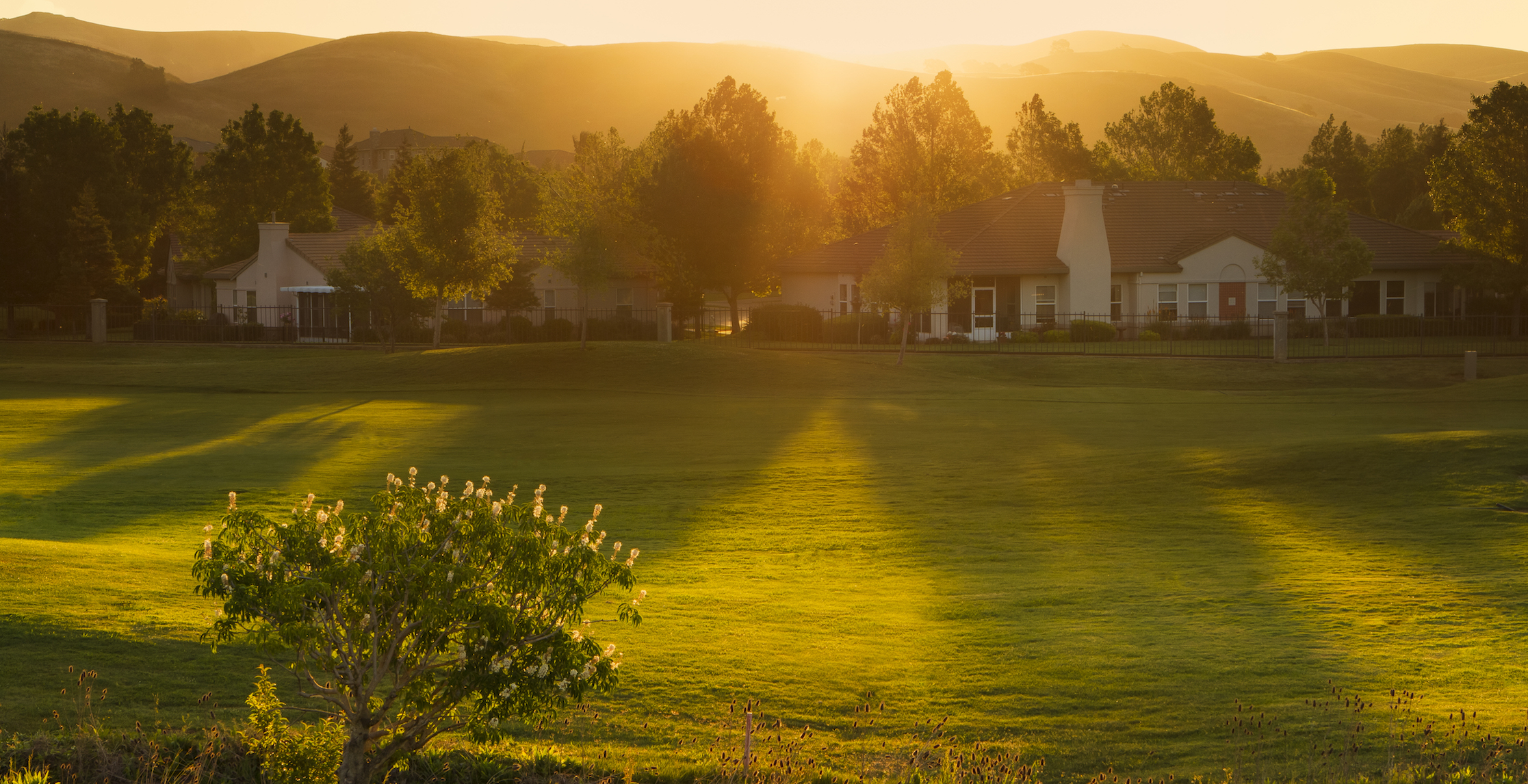 Paradise Valley Estates